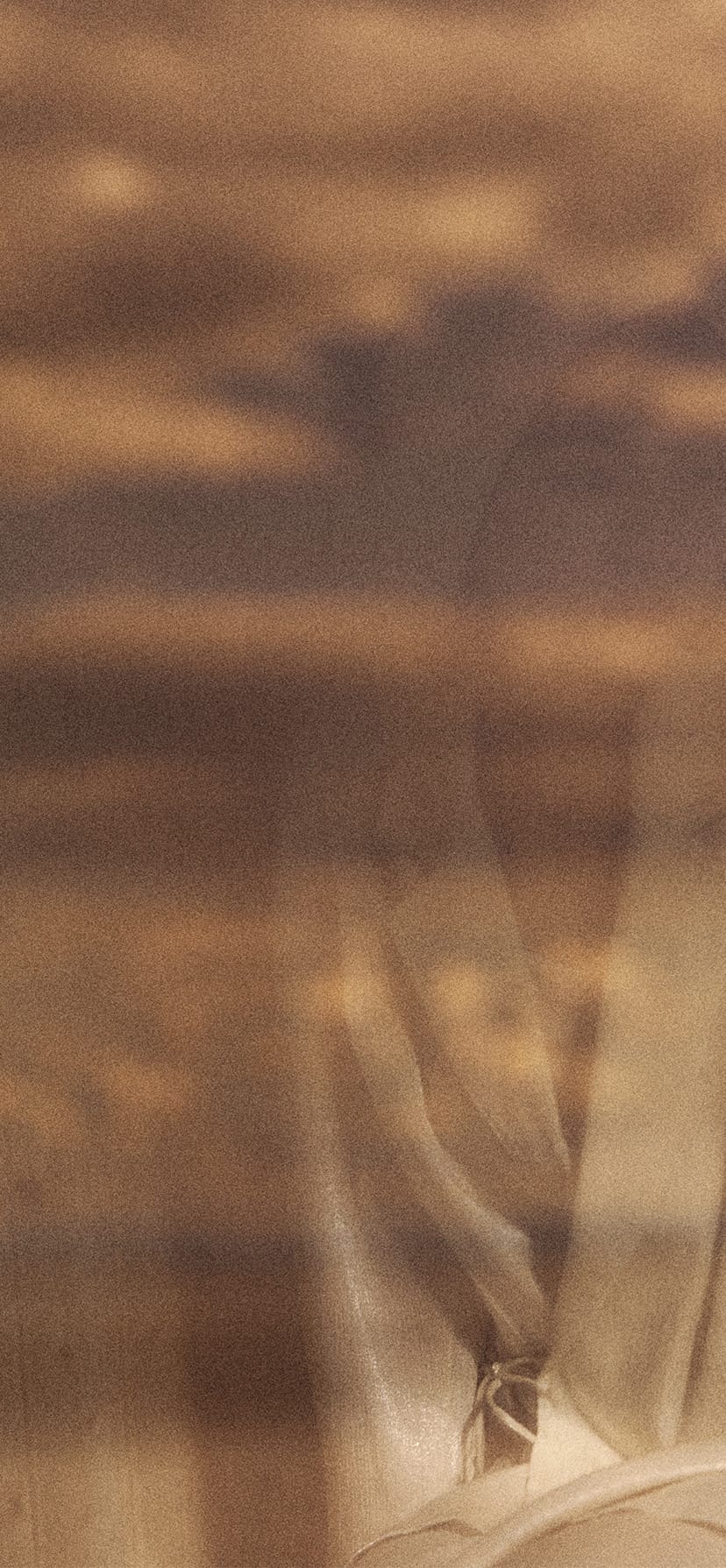 メインビジュアル5